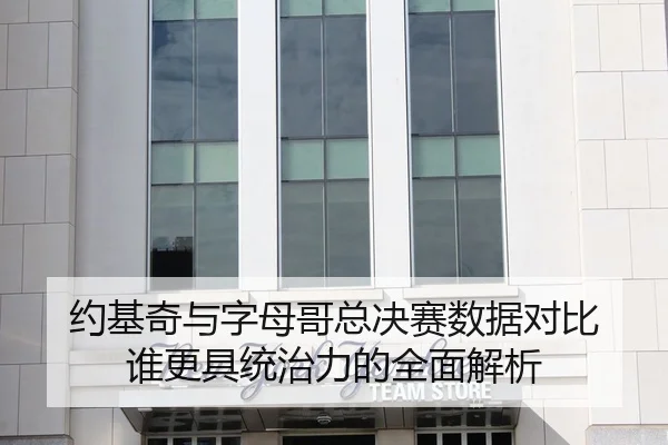 约基奇与字母哥总决赛数据对比 谁更具统治力的全面解析
